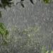 A sexta-feira (2) será marcada por chuva e temperaturas mais baixas em boa parte de Mato Grosso do Sul. A instabilidade que acompanha a passagem de uma frente fria mantém condições para pancadas de chuva e trovoadas, principalmente nas áreas sul e leste do Estado. Em Campo Grande, o dia deve permanecer com muitas nuvens e chuva em diferentes períodos. Os termômetros ficam próximos dos 19°C nas primeiras horas do dia e a máxima deve chegar a cerca de 25°C. O sul do Estado também terá temperaturas mais amenas. Em Dourados, os termômetros devem ficar próximos dos 19°C pela manhã, enquanto a máxima fica na casa dos 29°C. Ponta Porã pode registrar mínima de 17°C e máxima ao redor dos 28°C. No Pantanal, o cenário é diferente e o calor continua mais intenso. Corumbá deve amanhecer com cerca de 21°C, mas a temperatura pode subir para a faixa dos 35°C durante a tarde, mesmo com variação de nebulosidade e possibilidade de chuva. Na região leste, Três Lagoas continua mais quente, com temperaturas próximas dos 21°C nas primeiras horas e máxima acima dos 30°C. Em Bonito, no sudoeste, a previsão aponta temperaturas entre aproximadamente 19°C e 27°C. A sexta ainda pode ter chuva mais intensa em pontos isolados do Centro-Oeste, com possibilidade de trovoadas e rajadas de vento. A tendência é de manutenção da instabilidade em parte de Mato Grosso do Sul ao longo do dia. As informações são do Inmet (Instituto Nacional de Meteorologia).