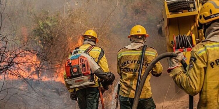 Situação climática no Amazonas é ‘mais grave do que o imaginado’, diz ministro do Meio Ambiente