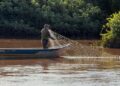 Piracema começa neste domingo no Rio Paraná e proíbe pesca em Mato Grosso do Sul