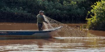 Piracema começa neste domingo no Rio Paraná e proíbe pesca em Mato Grosso do Sul